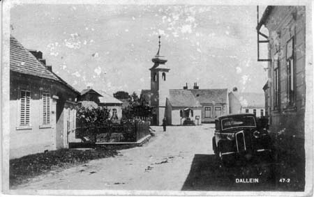 Dallein